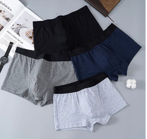 Breathable Soft Milk Silk Men's Boxer Underpants